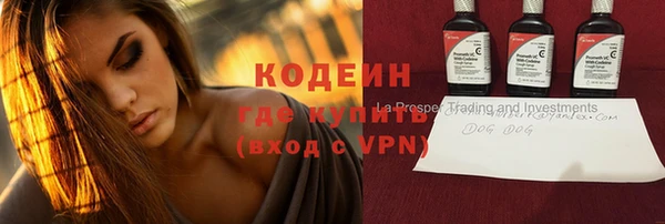 МДПВ Вяземский